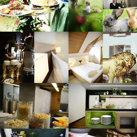 Und Wirtshaus Loewen Rielasingen-Worblingen